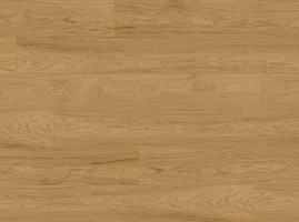 Z08a Дуб Capitol Reef минифото 1