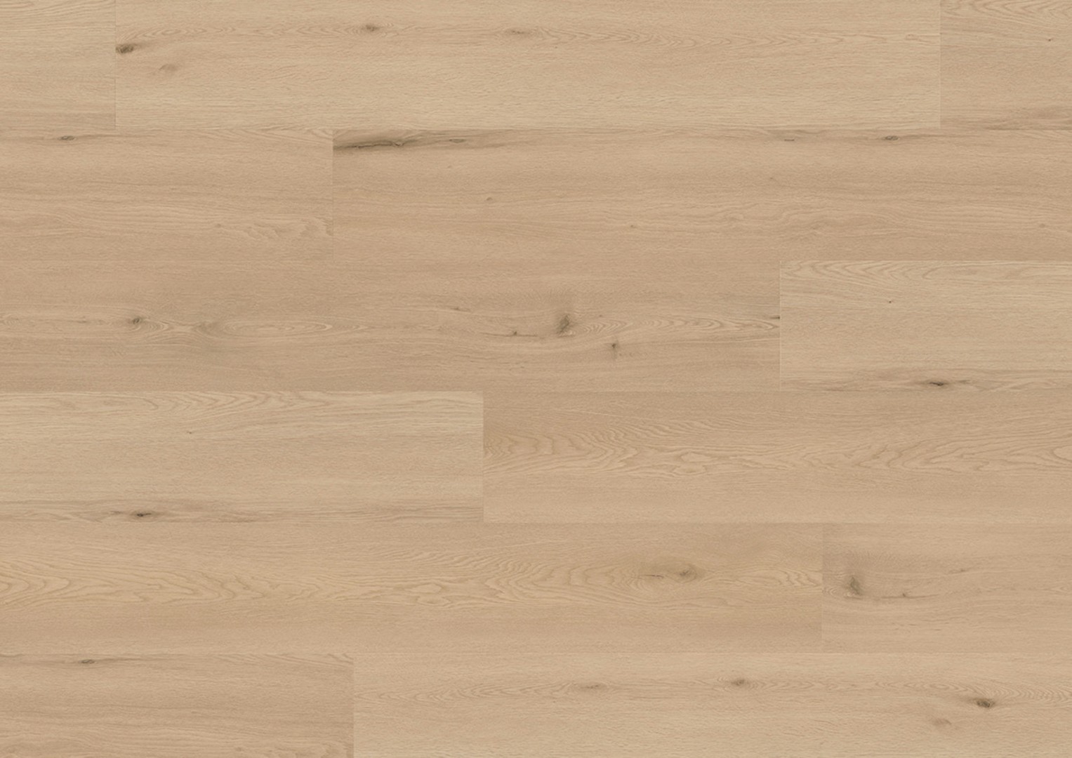 I03 Дуб Амстердам Comfort фото 1