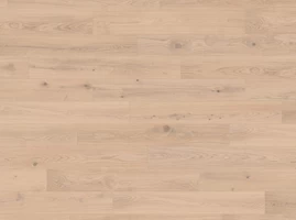 Oak Yoga Studio plank